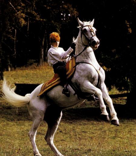 Photo: Dominique Doumax